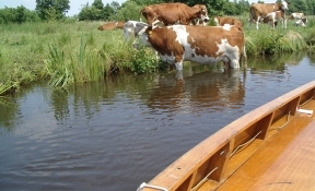 natuurgebied Giethoorn