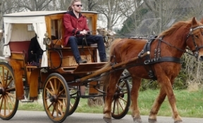 huifkartocht paarden koets giethoorn