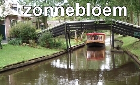 zonnebloem arrangements Giethoorn