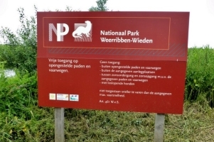 weerribben wieden